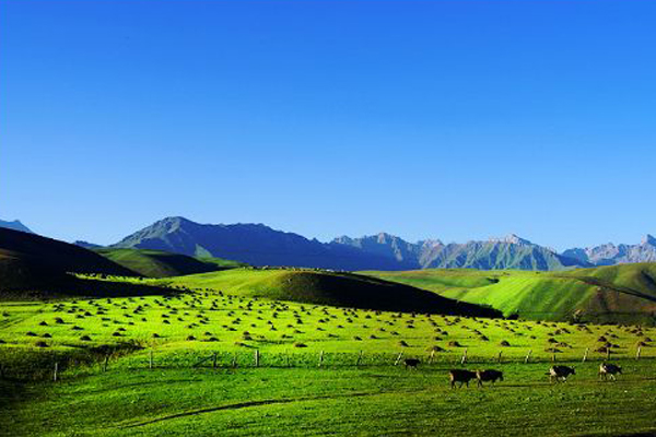 KU酷游·(中国区)官方网站