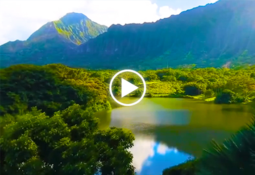 KU酷游官网能源宣传片